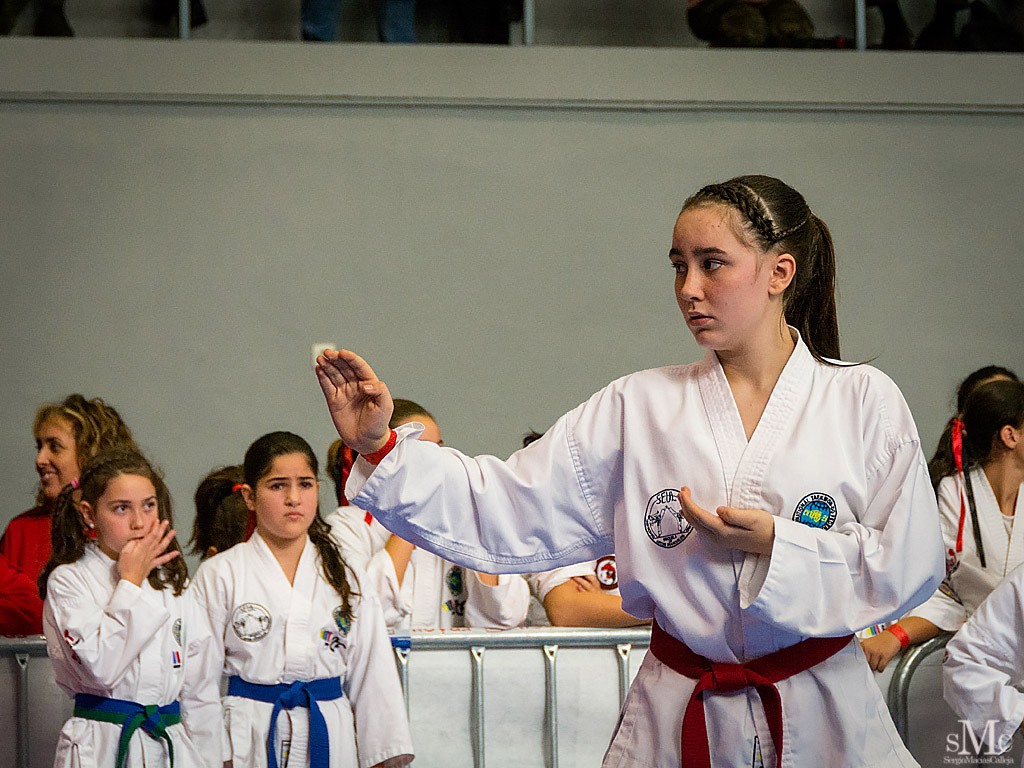 COPA SEUL, 2017  (55).JPG